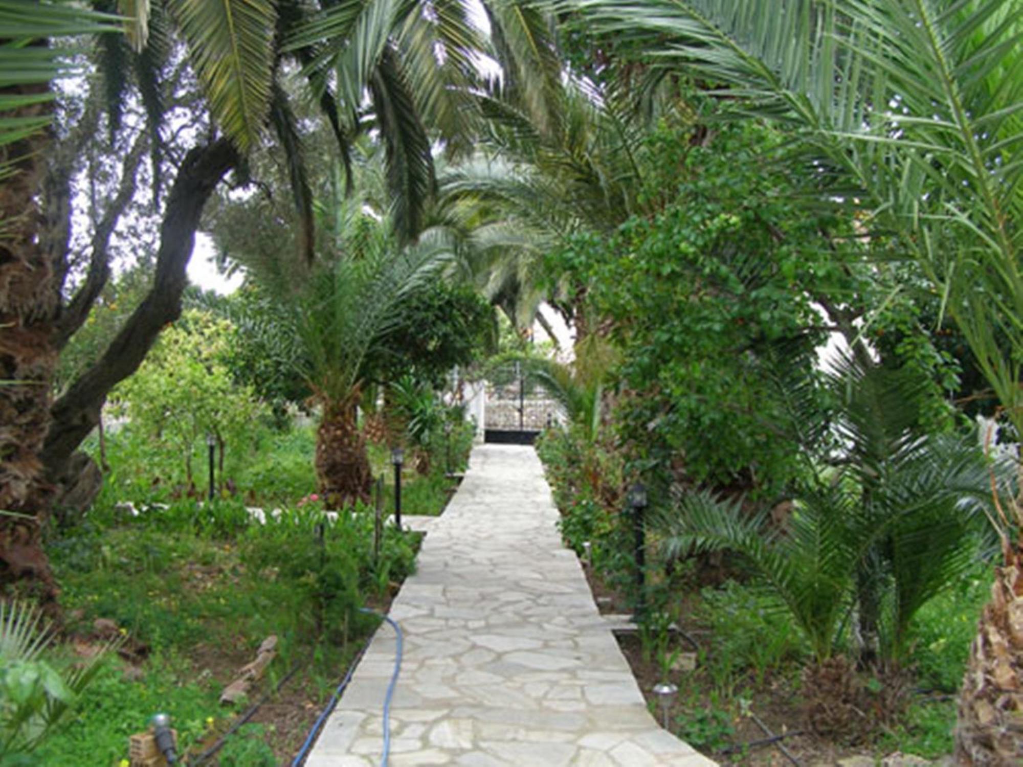 Menelaos Apartments Lefokastro Esterno foto