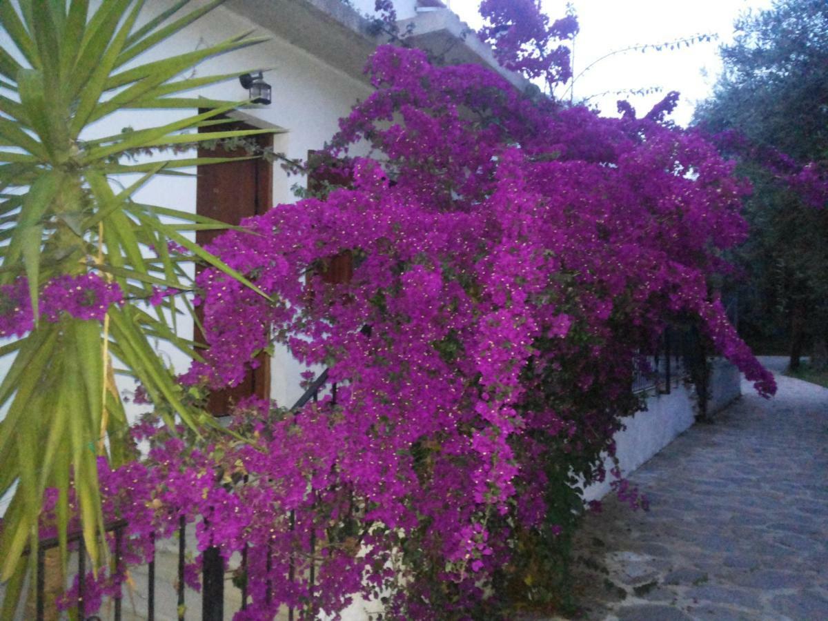 Menelaos Apartments Lefokastro Esterno foto